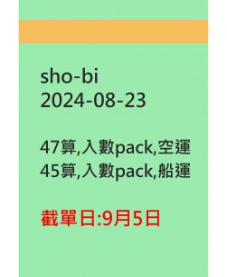 shobi20240823訂貨圖